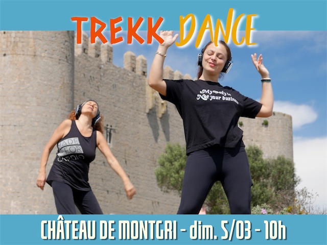 Trekkdance_Montage photos 4_3_06-FR