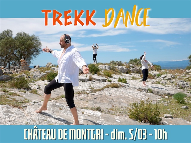 Trekkdance_Montage photos 4_3_11-FR