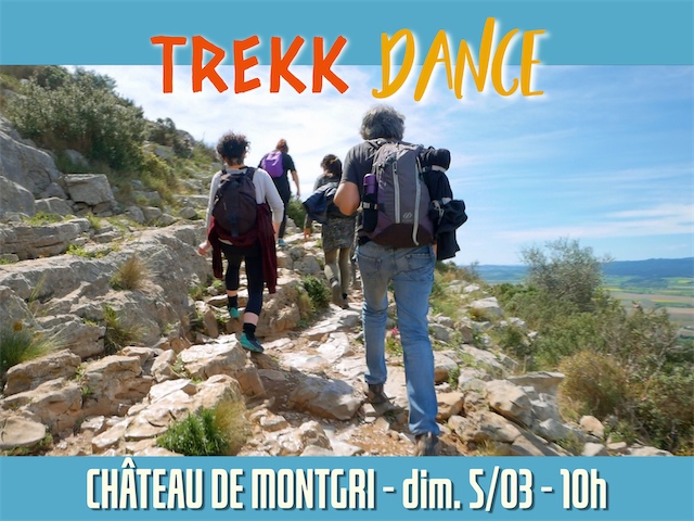 Trekkdance_Montage photos 4_3_13-FR