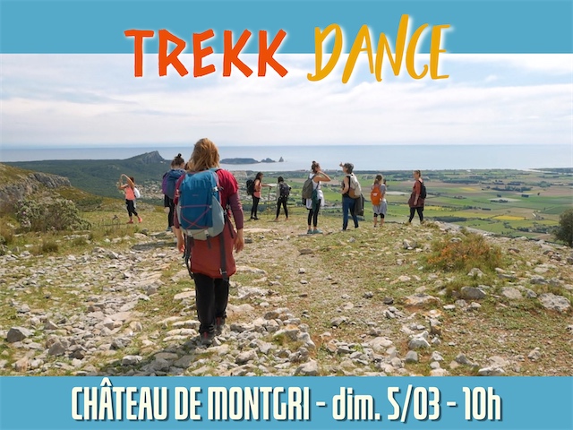 Trekkdance_Montage photos 4_3_14-FR